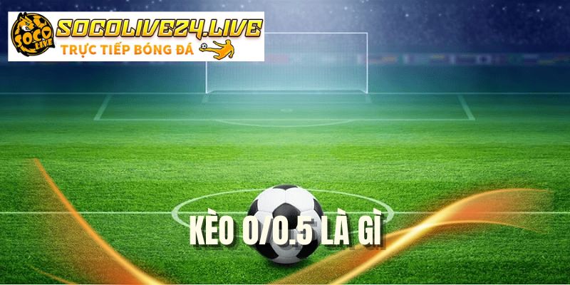 Kèo 0/0.5 Là Gì