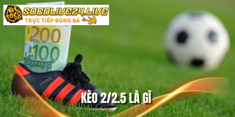 Kèo 2/2.5 Là Gì